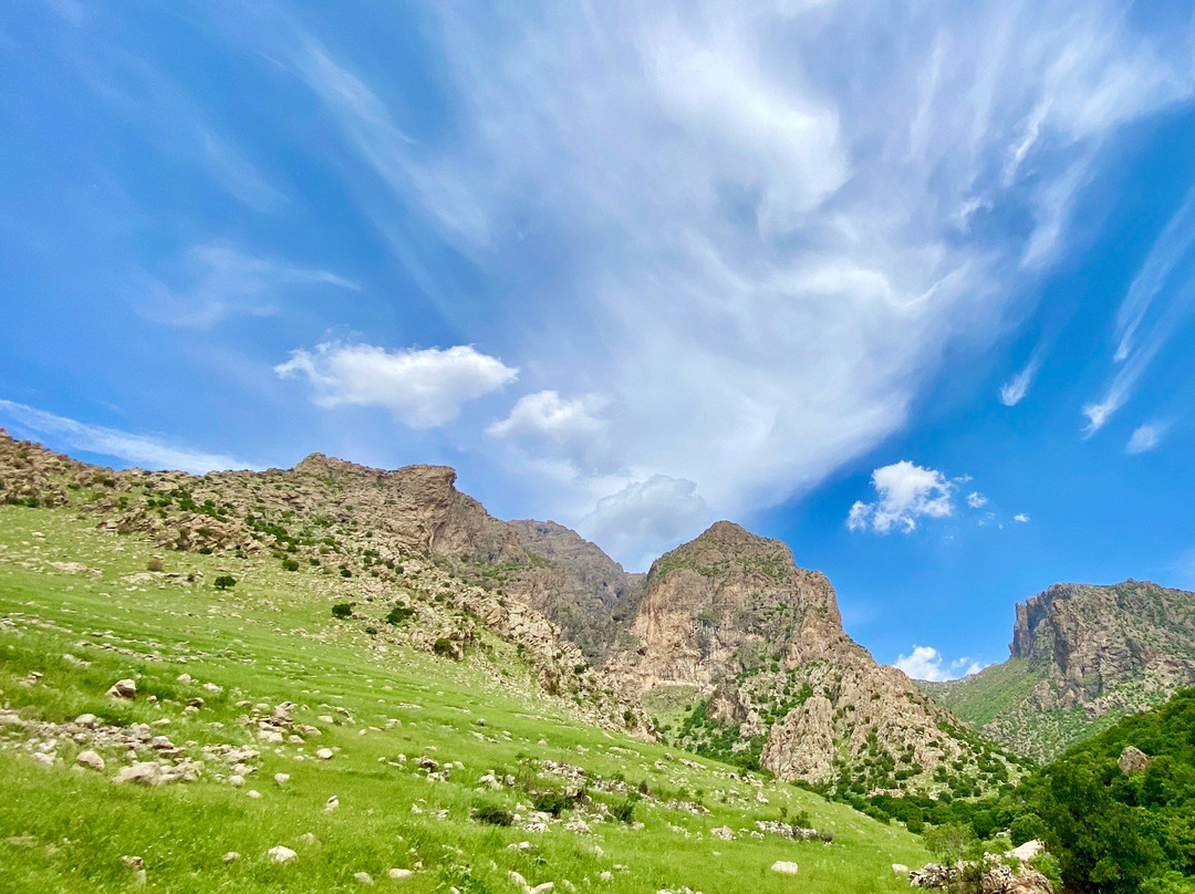 Merquli Rock Relief-苏莱曼尼亚必去景点