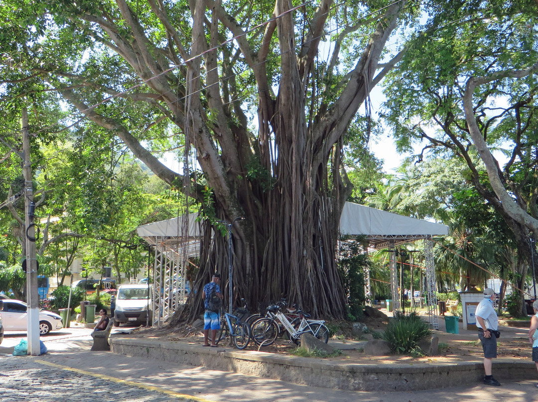 Rua do Meio-伊利亚贝拉必去景点
