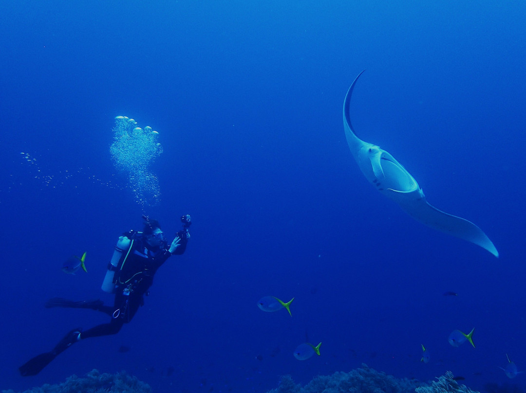 Enfield Scuba and Watersports-Enfield必去景点