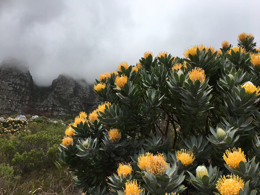 Kasteelspoort-Bakoven必去景点