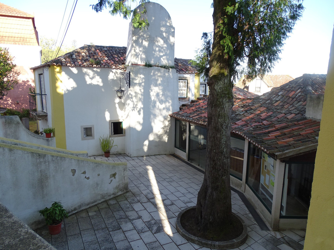 Museu Ferreira De Castro景点图片