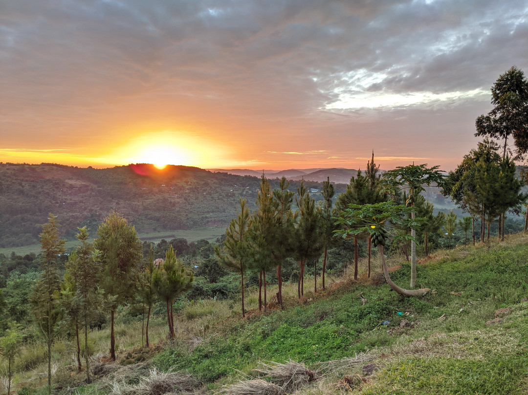 Social Innovation Museum-坎帕拉必去景点