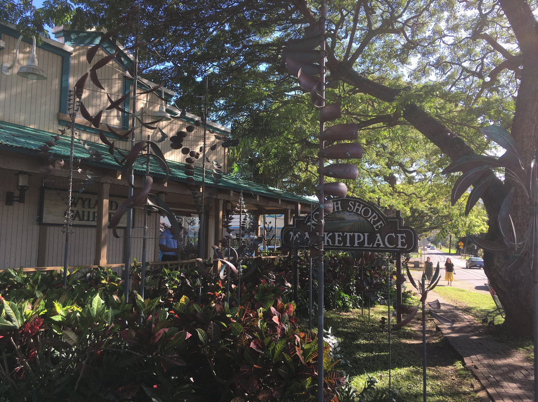 Wyland Galleries-哈雷瓦必去景点