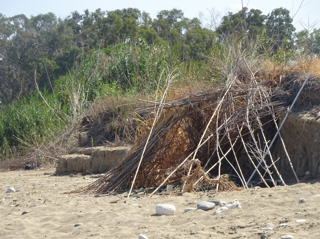 Polis Municipal Beach-城邦必去景点