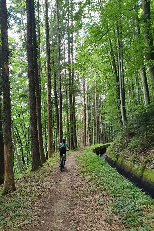 RO Mountainbike景点图片