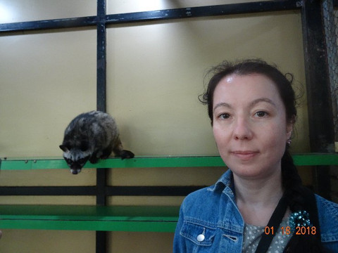 Prenn Falls-大勒必去景点