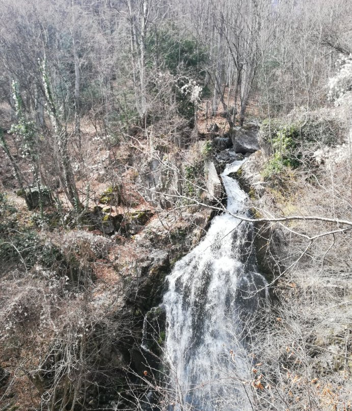 Arxontiko Agonari主图