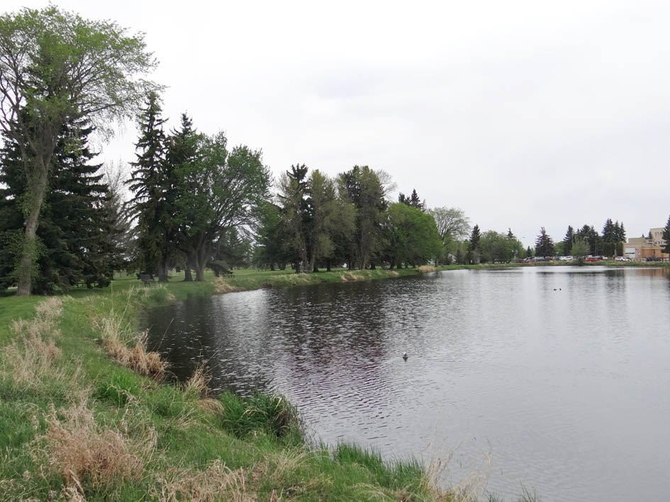Vegreville Elks Park and Fish Pond-韦格勒维尔必去景点