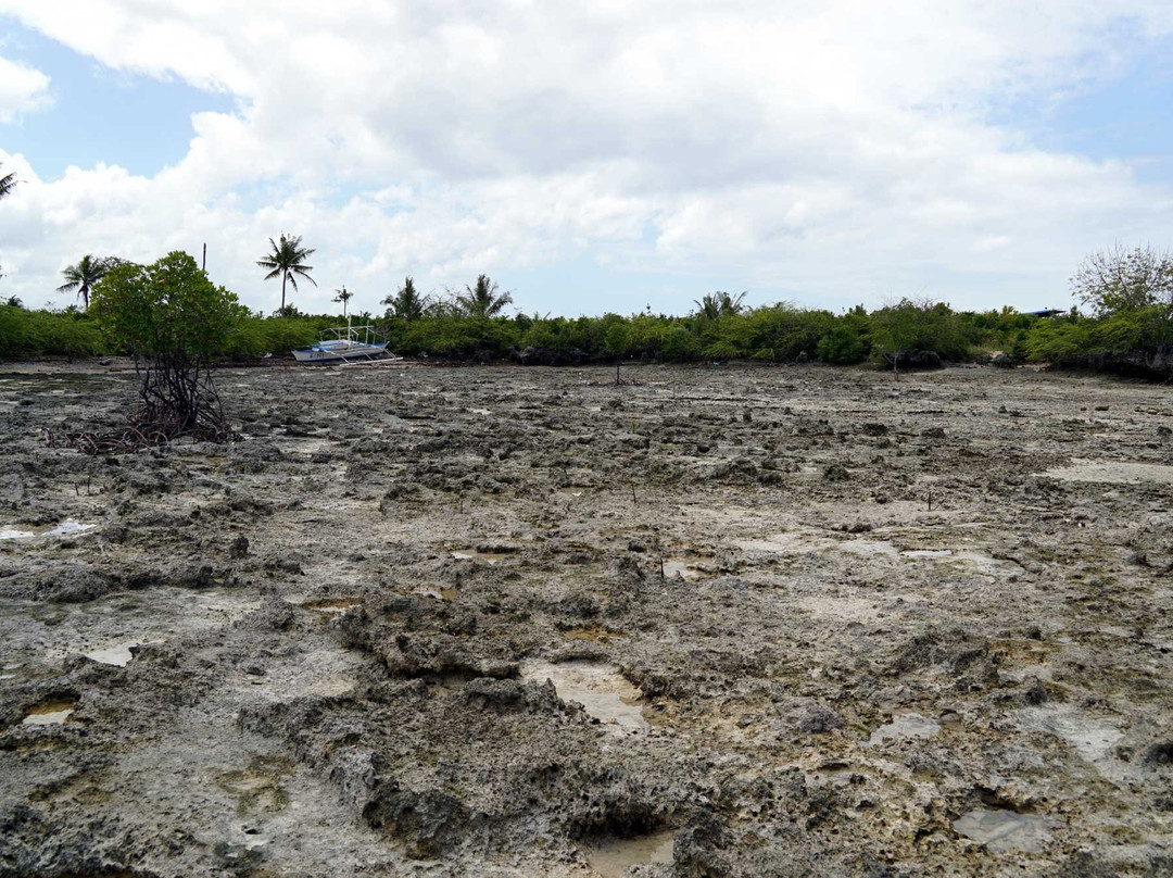 Mushroom Rock-莫阿尔博阿尔必去景点