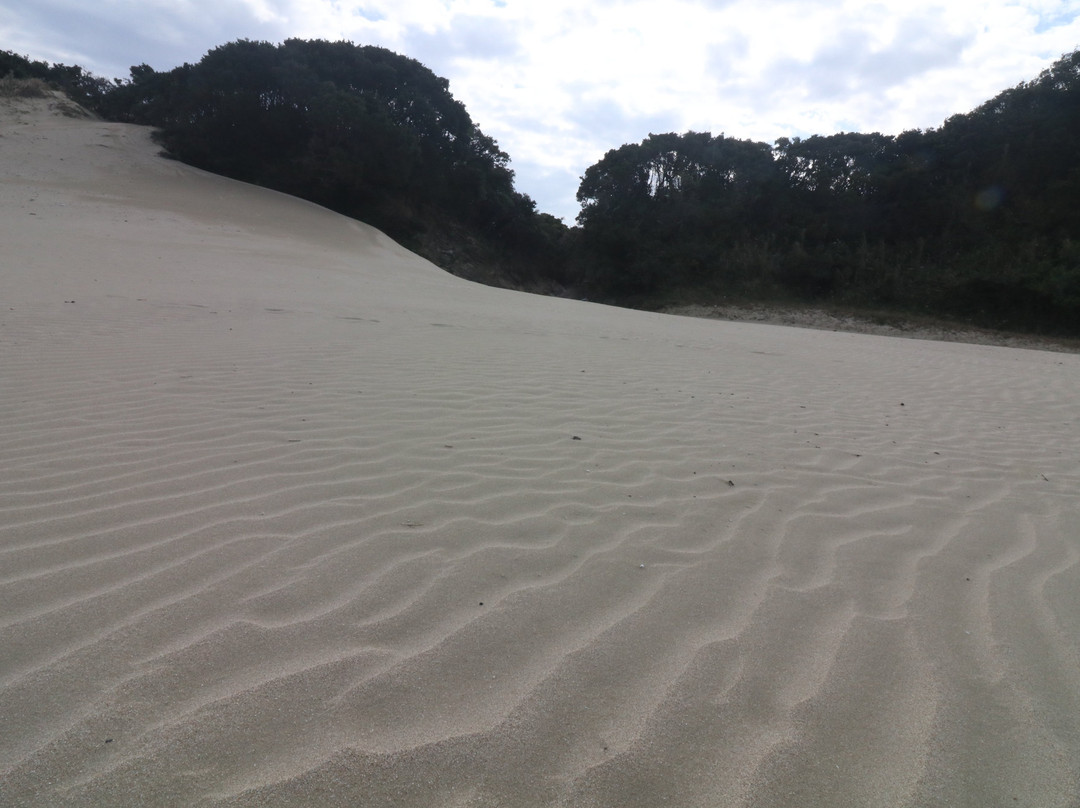Hamada Beach景点图片