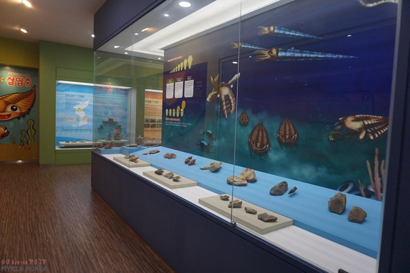 Yanggu Prehistory Museum-杨口郡必去景点