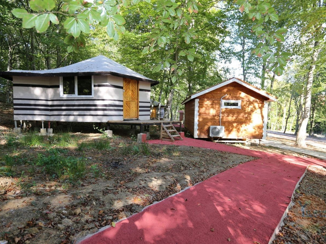 Yildiz Country Hotel主图