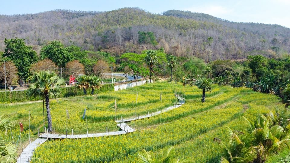 Royal Train Garden Resort-浴室