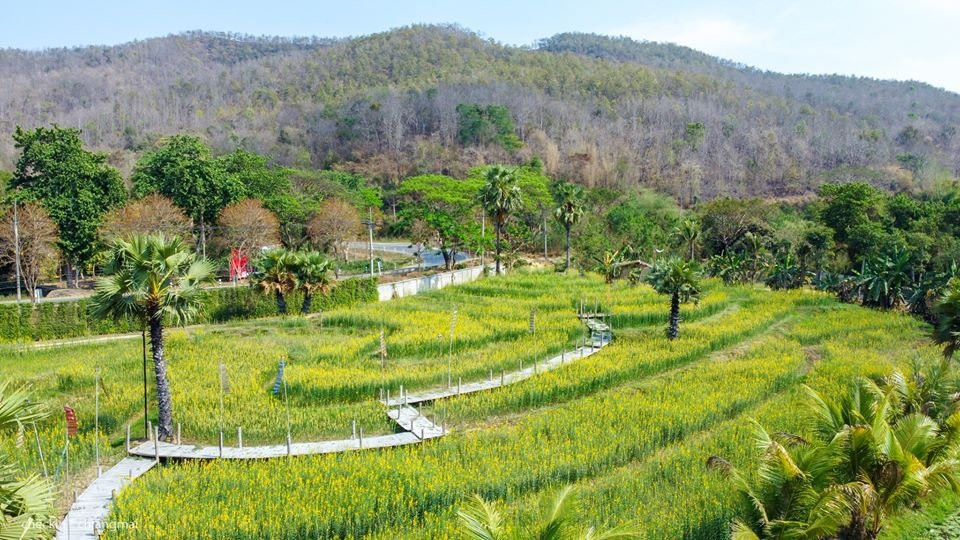 Royal Train Garden Resort主图