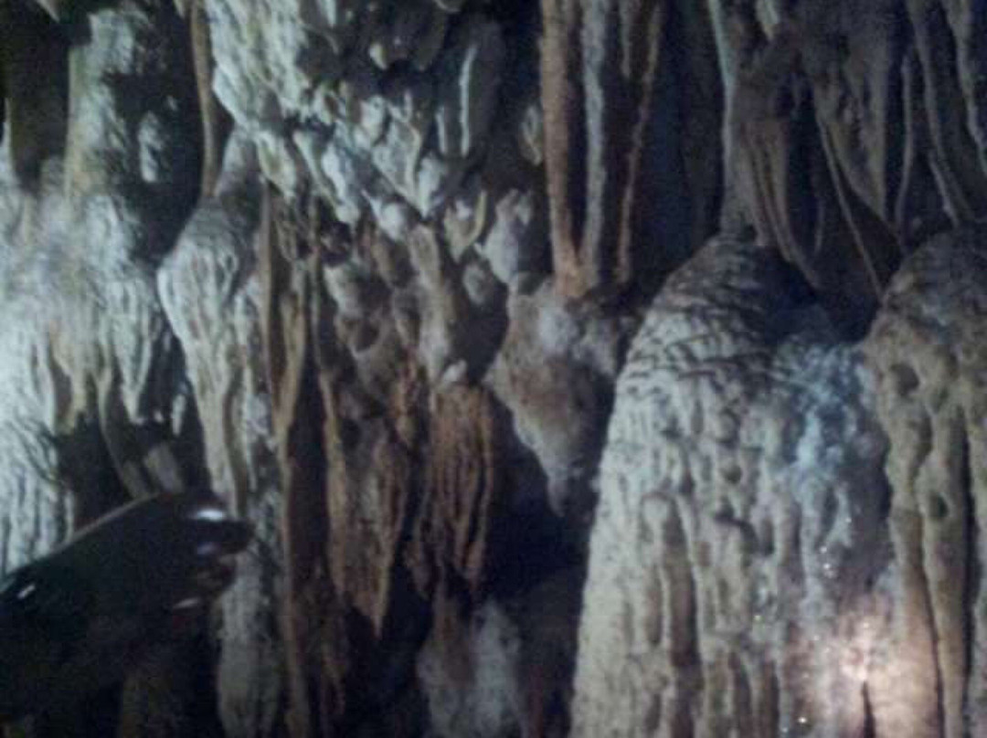 Mahawangchang Elephant Camp-北碧必去景点