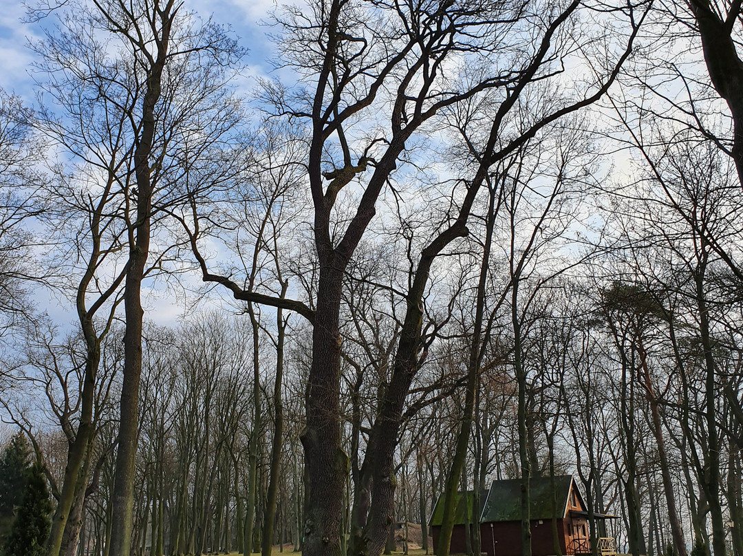 Palac Zegrzynski主图