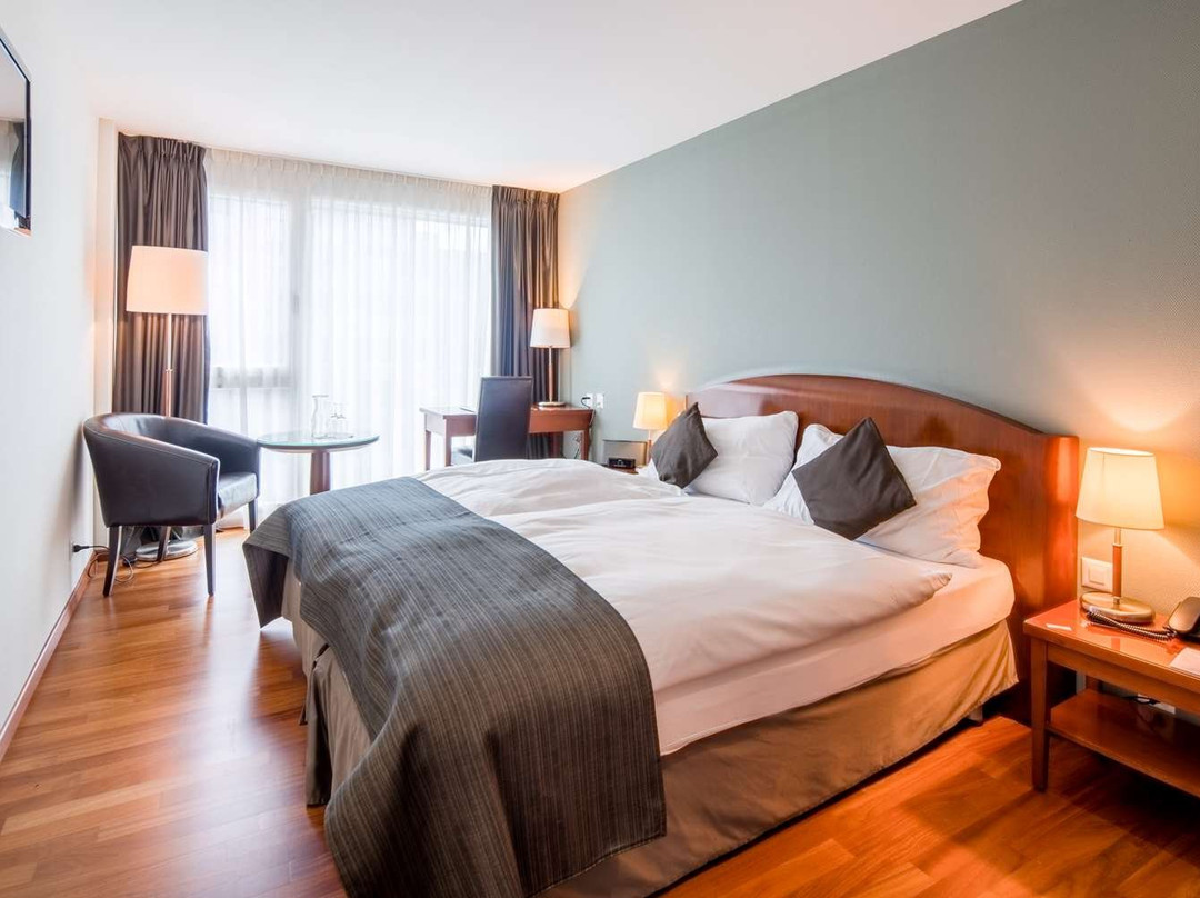 Hotel Rallye主图