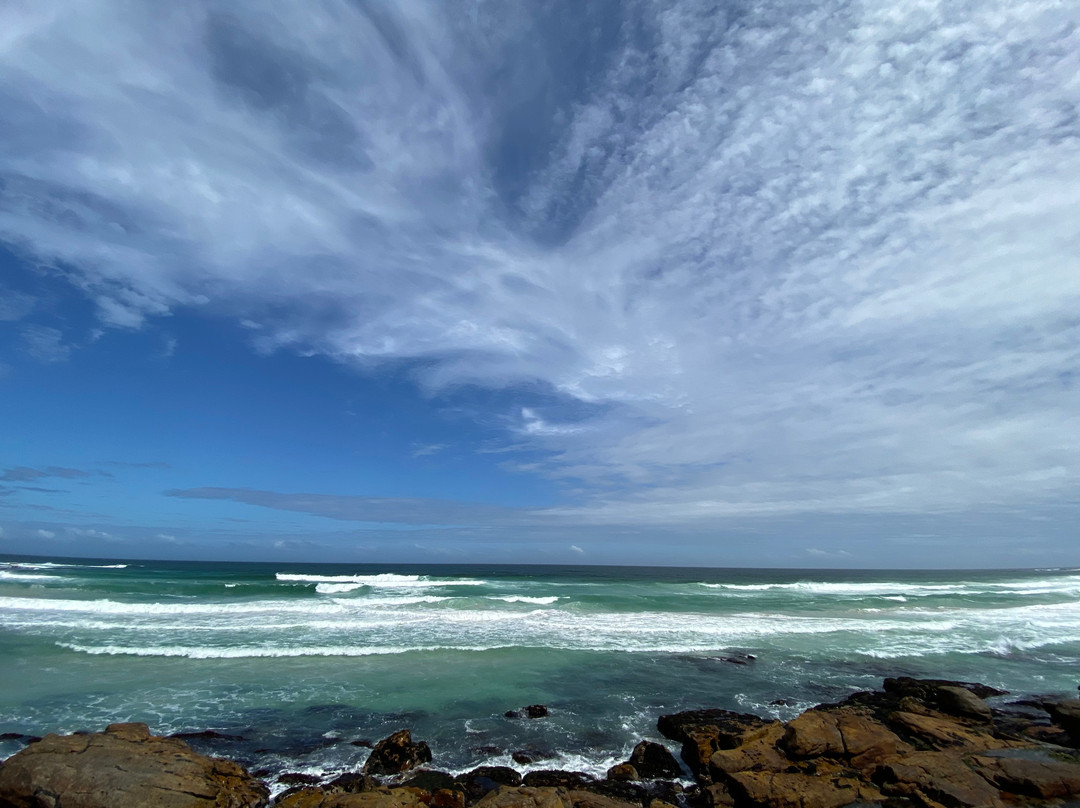 Cape Point Nature Reserve-Cape Peninsula National Park必去景点