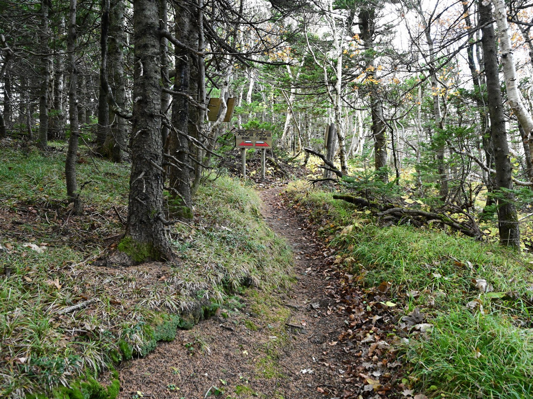 Mt. Pon-利尻富士町必去景点