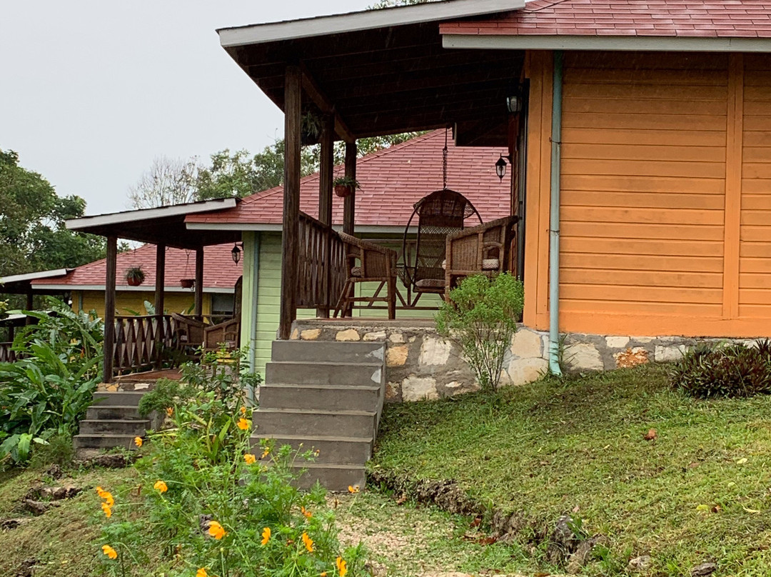 Winika Alterra主图