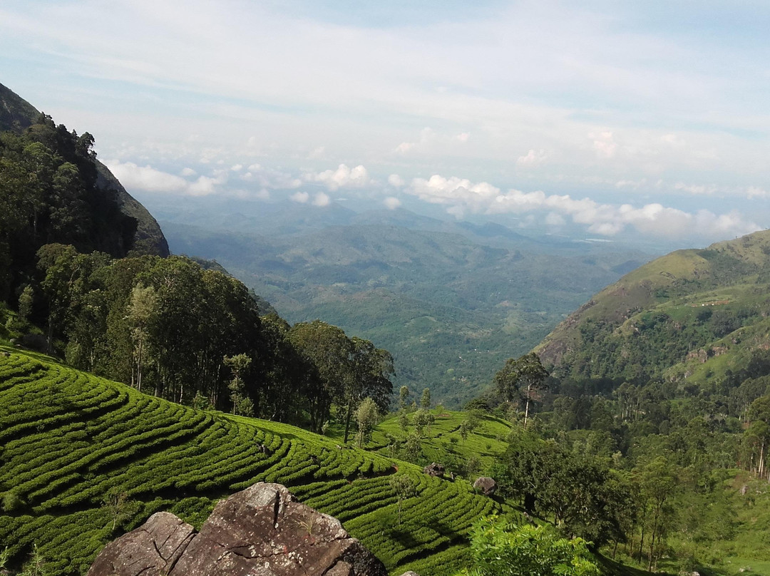 Sri Lanka Rundreise mit saman景点图片