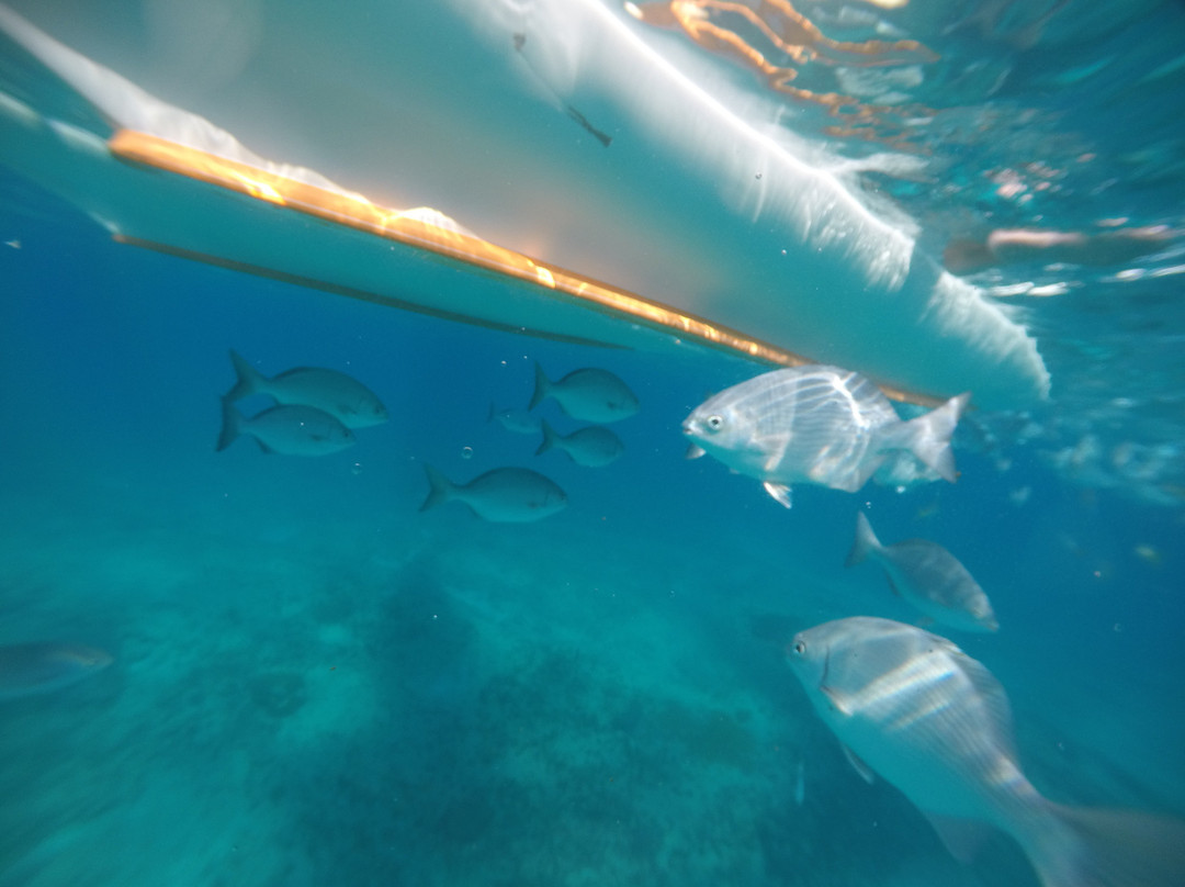 Iberostar Selection Varadero主图