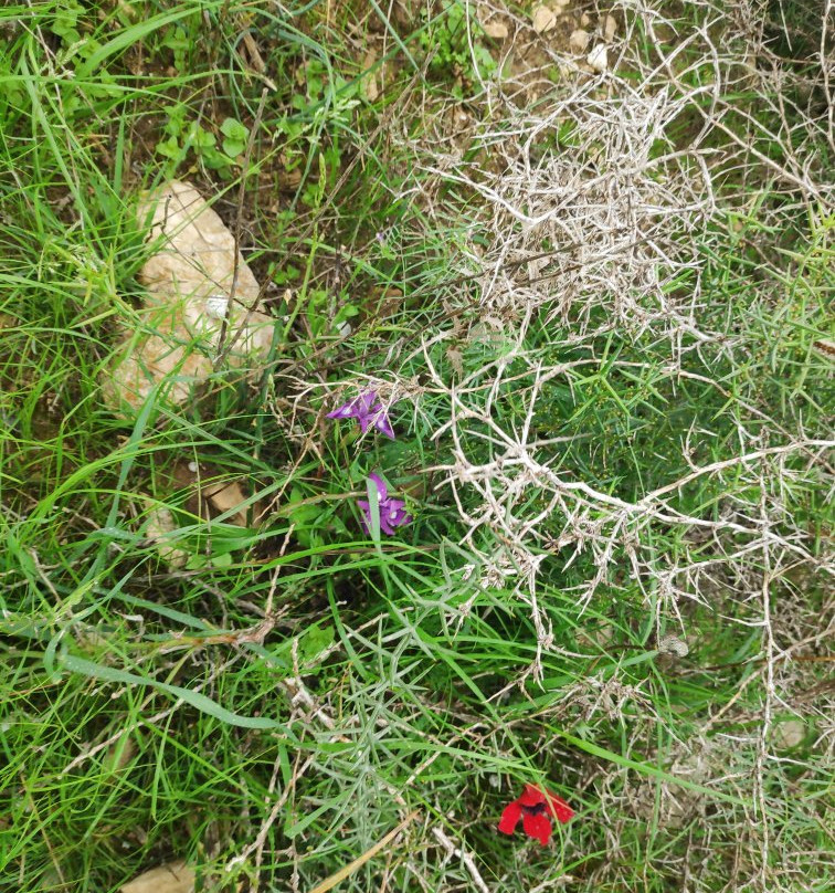 Monument to the Negev Brigade-贝尔谢巴必去景点