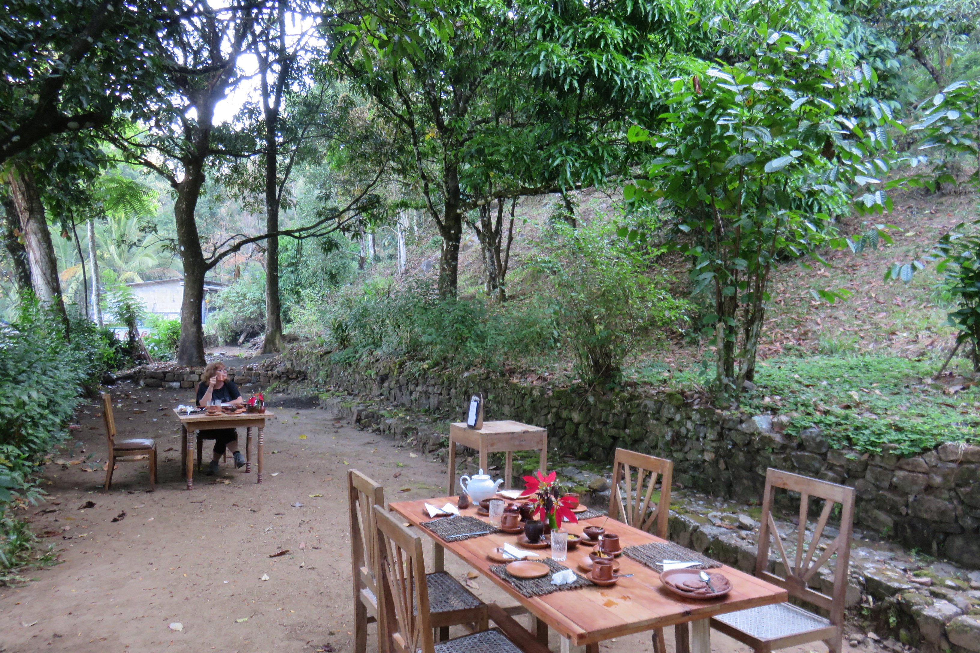 Ecolanka - Maussawa Estate-餐饮
