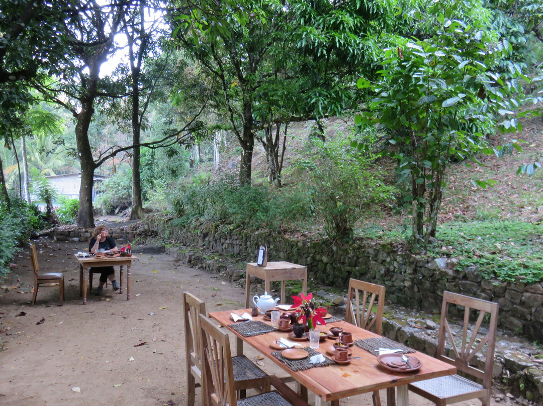 Ecolanka - Maussawa Estate主图