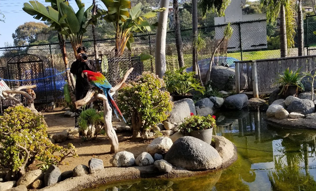 Free Flight-德尔马必去景点