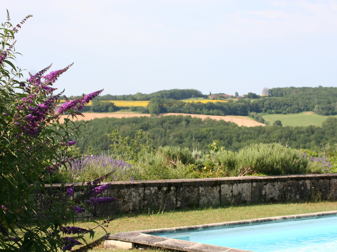 Domaine De Bernou主图