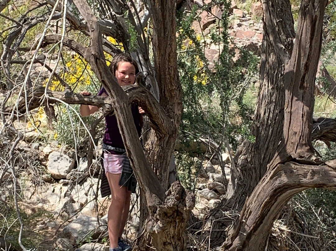 Telegraph Pass-尤马必去景点