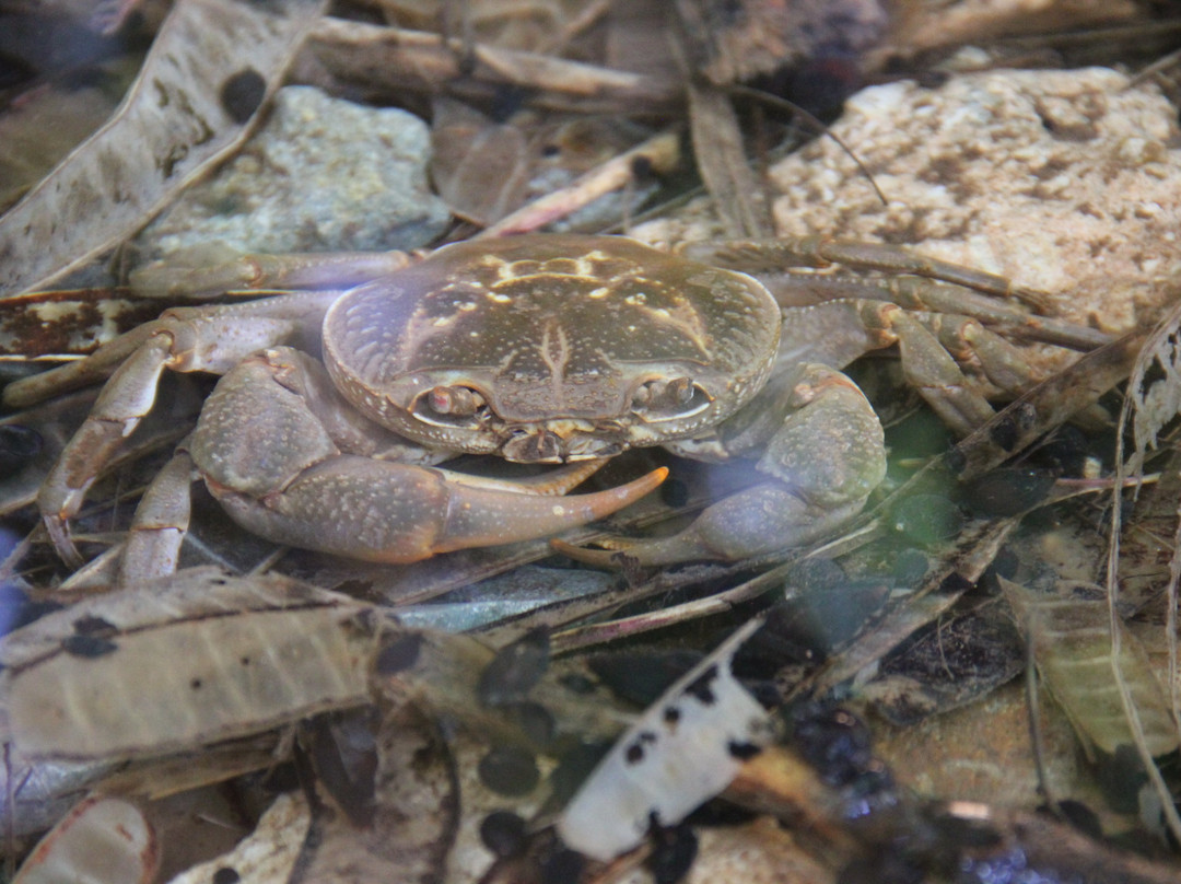 Park of Springs-Nir David必去景点