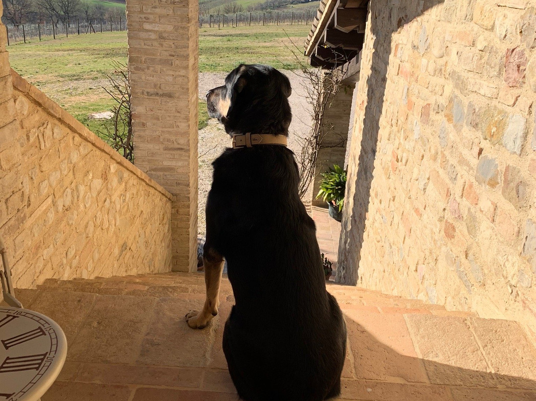 B&B Casa Laura主图