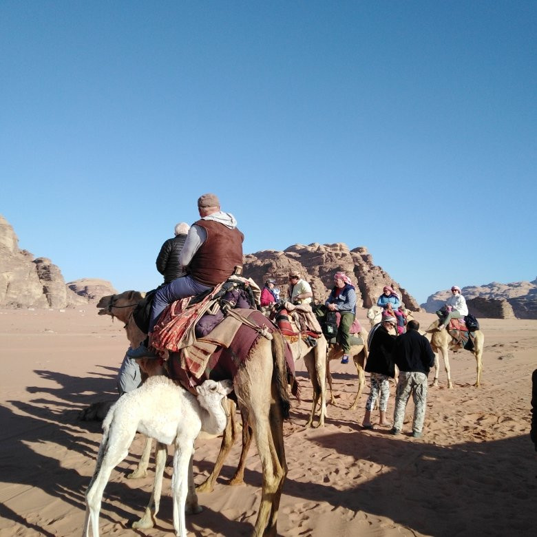 Wadi Araba Desert景点图片