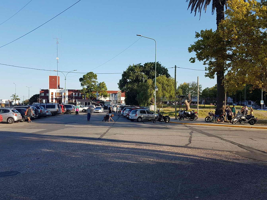 Puerto de Olivos-Olivos必去景点