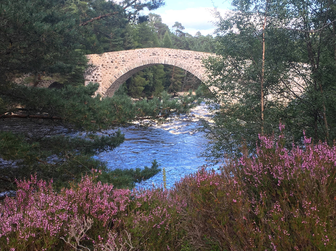 Braemar酒店住宿-Cranford Guest House