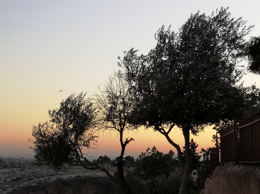 Morocco Sunshine Tours-非斯必去景点