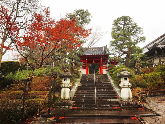 Shomyo-ji Temple-亘理町必去景点