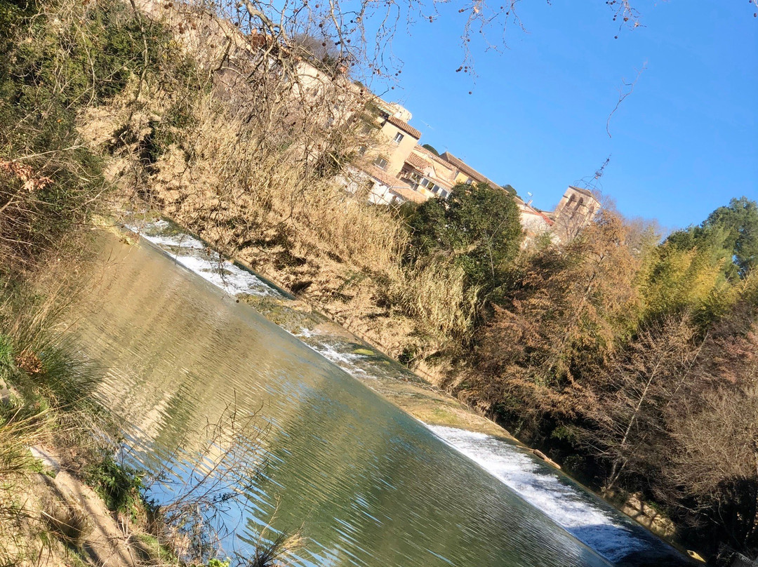 Parc du Domaine de Meric-蒙彼利埃必去景点