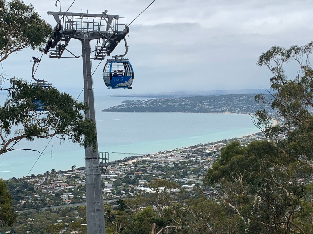 Arthurs Seat State Park景点图片