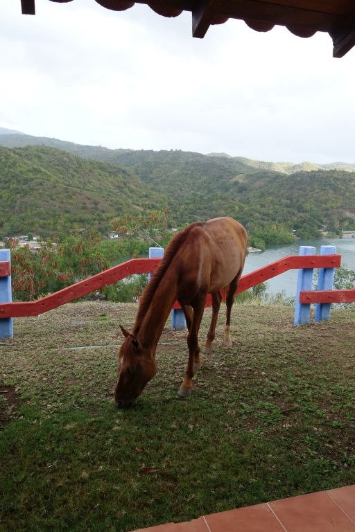 Hotel Brisas Los Galeones主图
