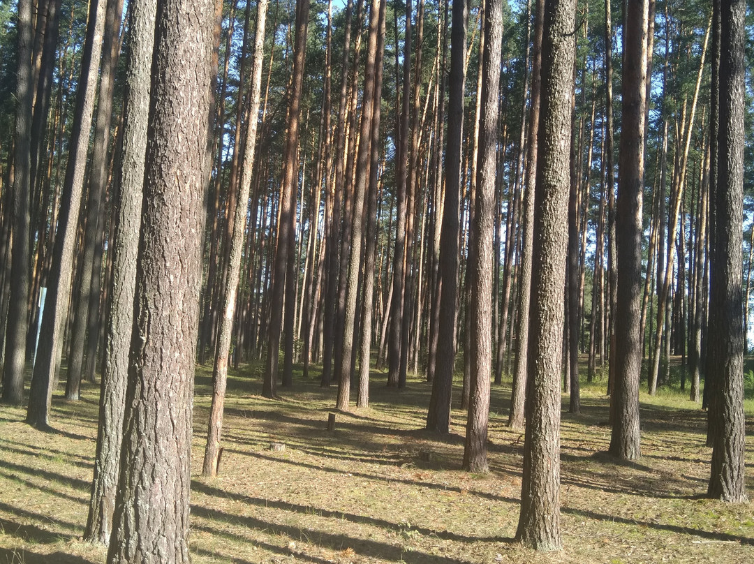 Hotel Verkhnevolzhskiy主图