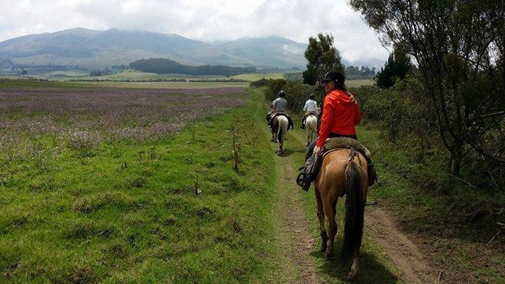 Rebecca Adventure Travel-阿约拉港必去景点