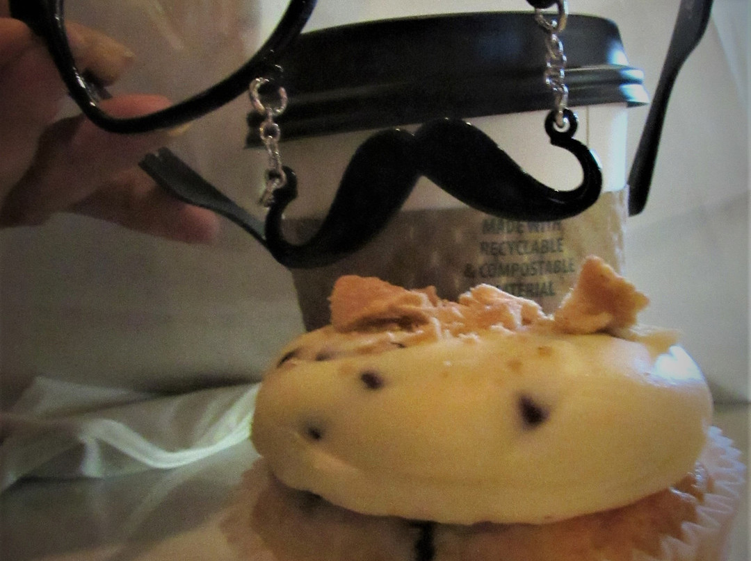 Food Done It?-Patchogue必去景点