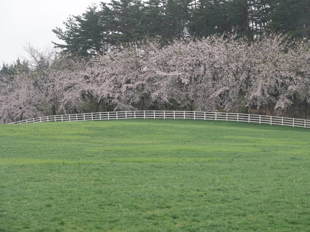 Yuriharakogen Fureai Ranches