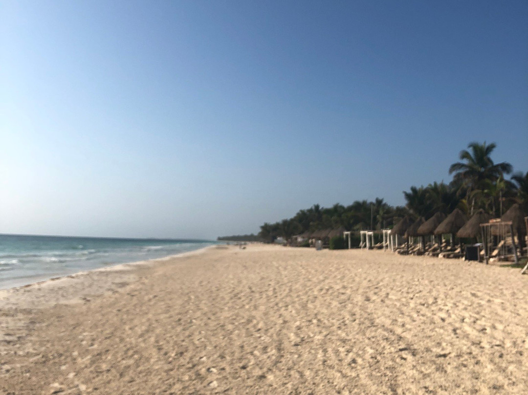 安娜何塞迷人酒店及水疗中心主图