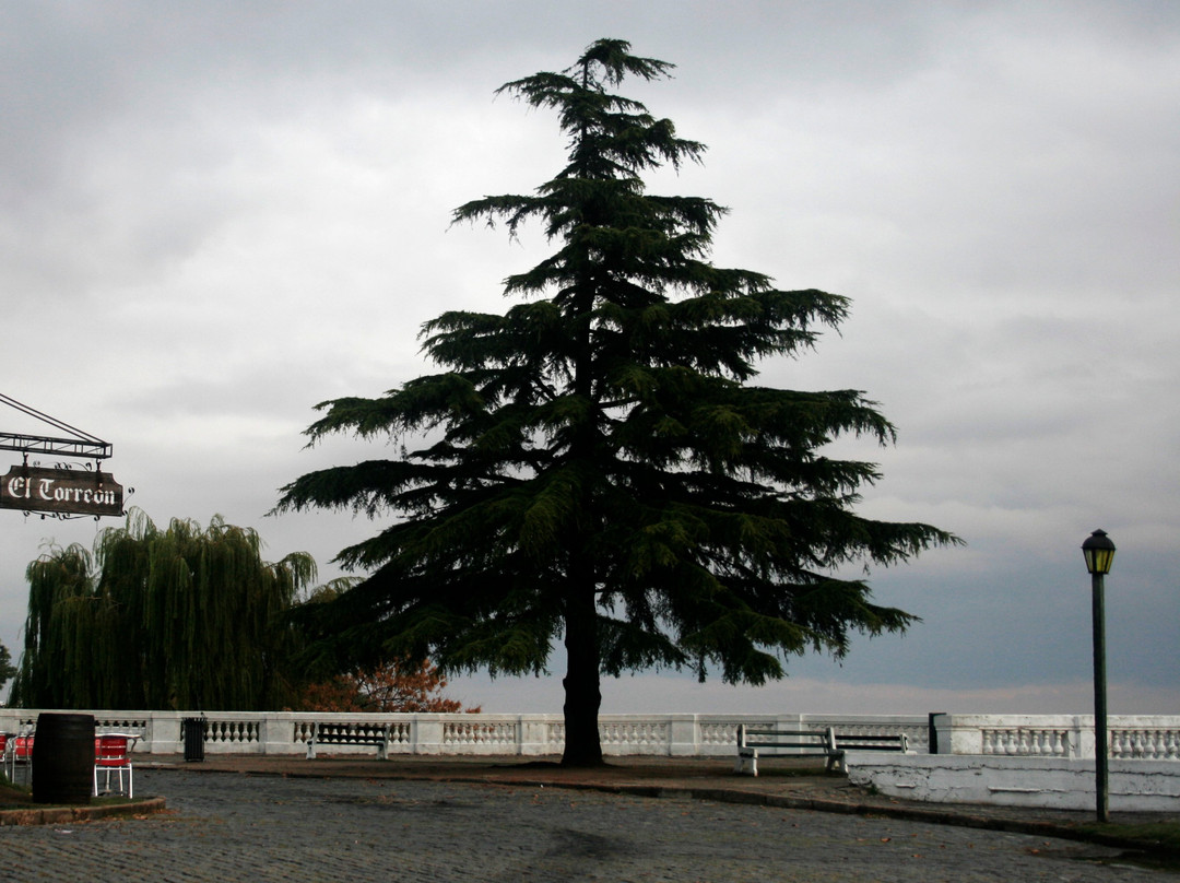 Paseo de San Gabriel-科洛尼亚·德尔萨克拉门托城必去景点