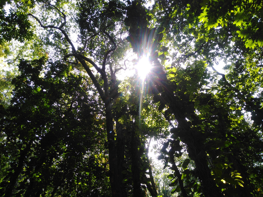 乌达瓦塔凯勒保护区景点图片