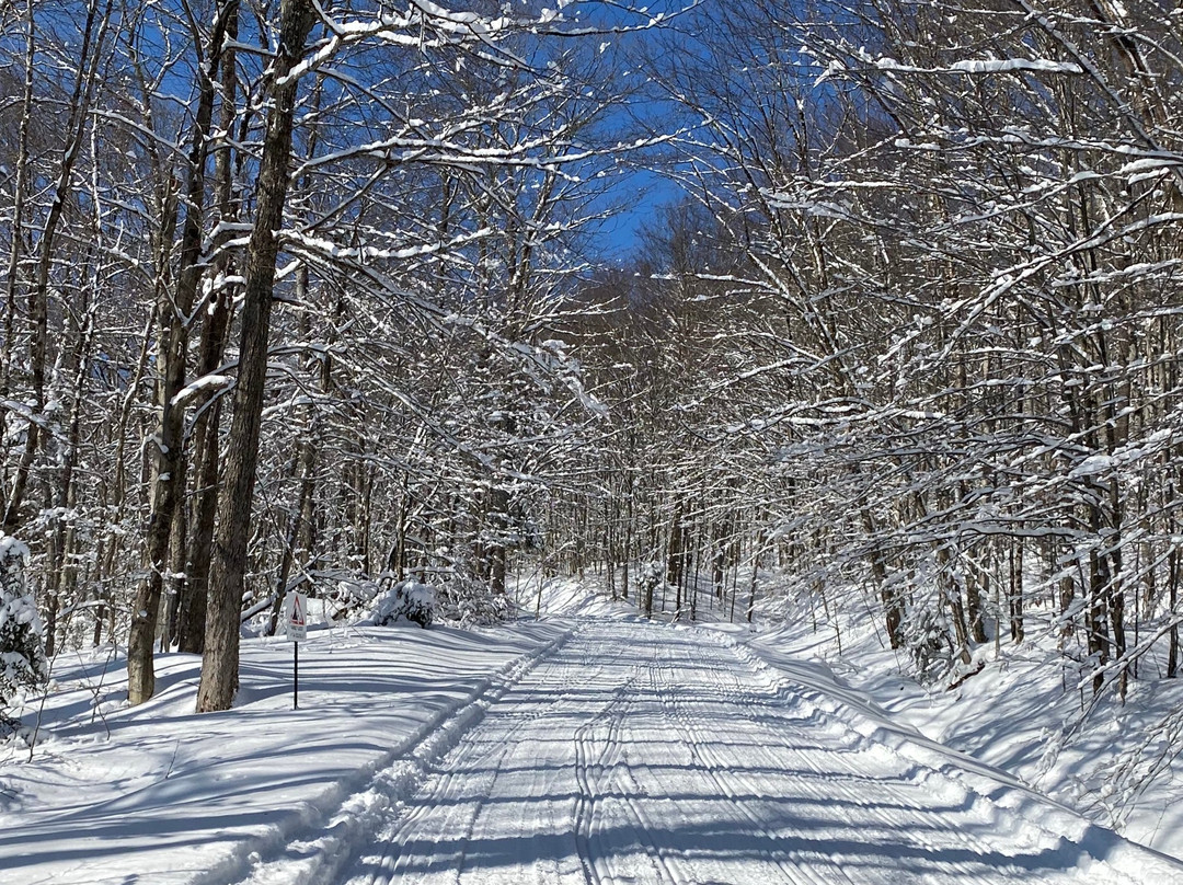 Snowmobile Vermont景点图片